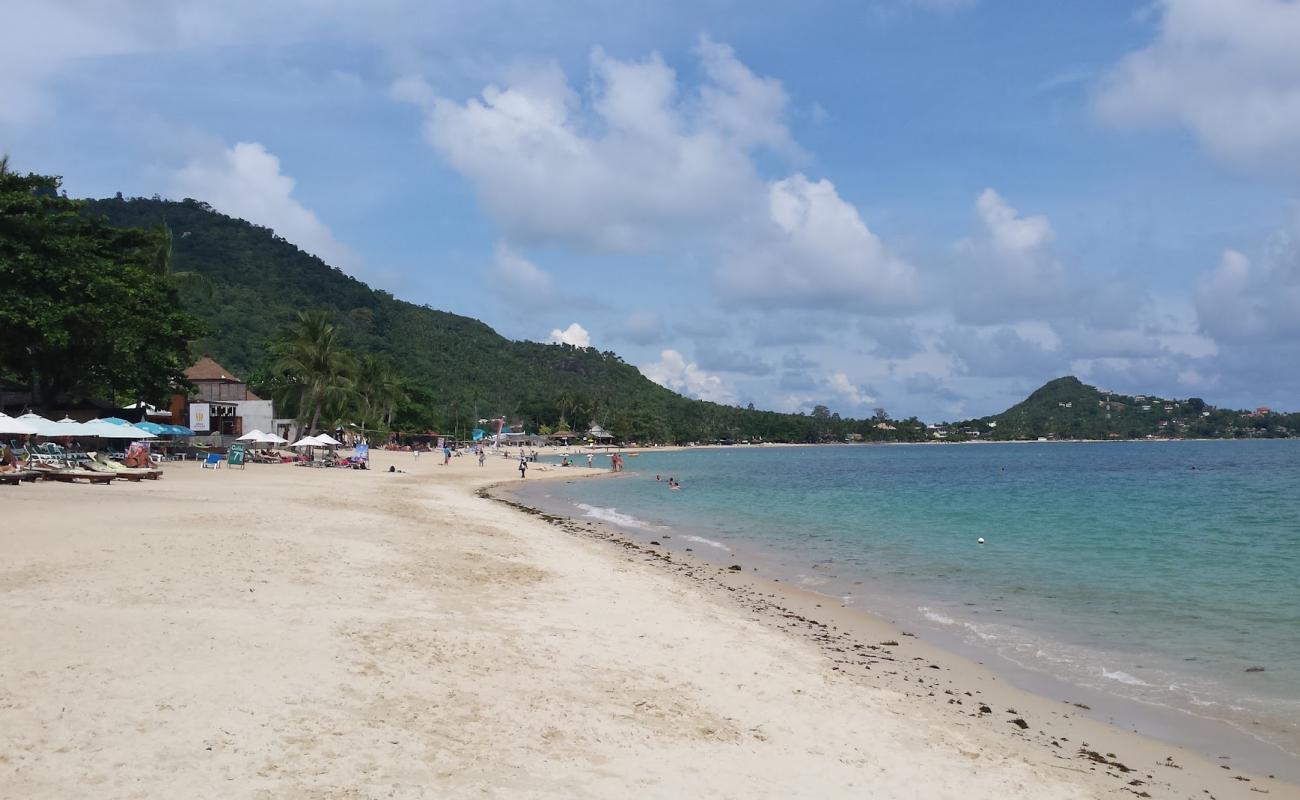 Foto af Lamai Strand med lys sand overflade