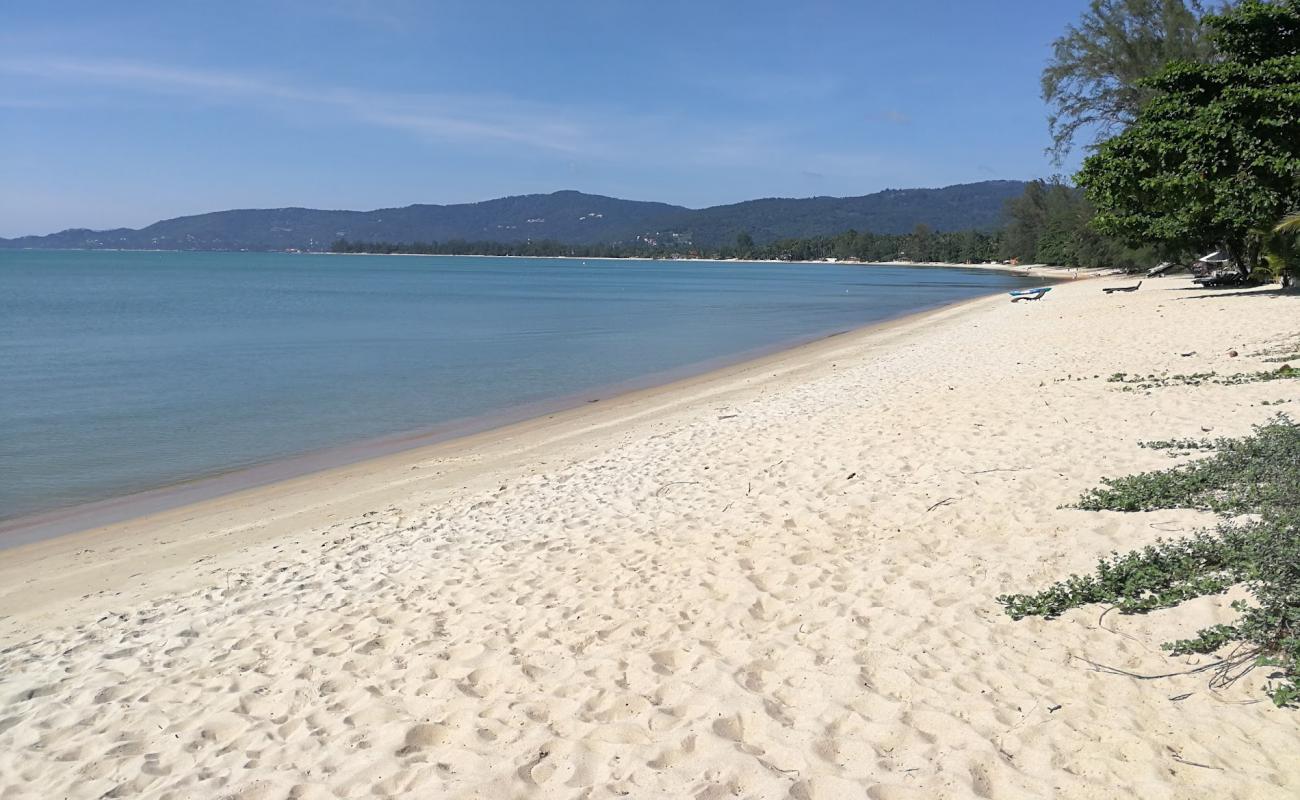 Foto af Lipa Noi Beach med lys sand overflade