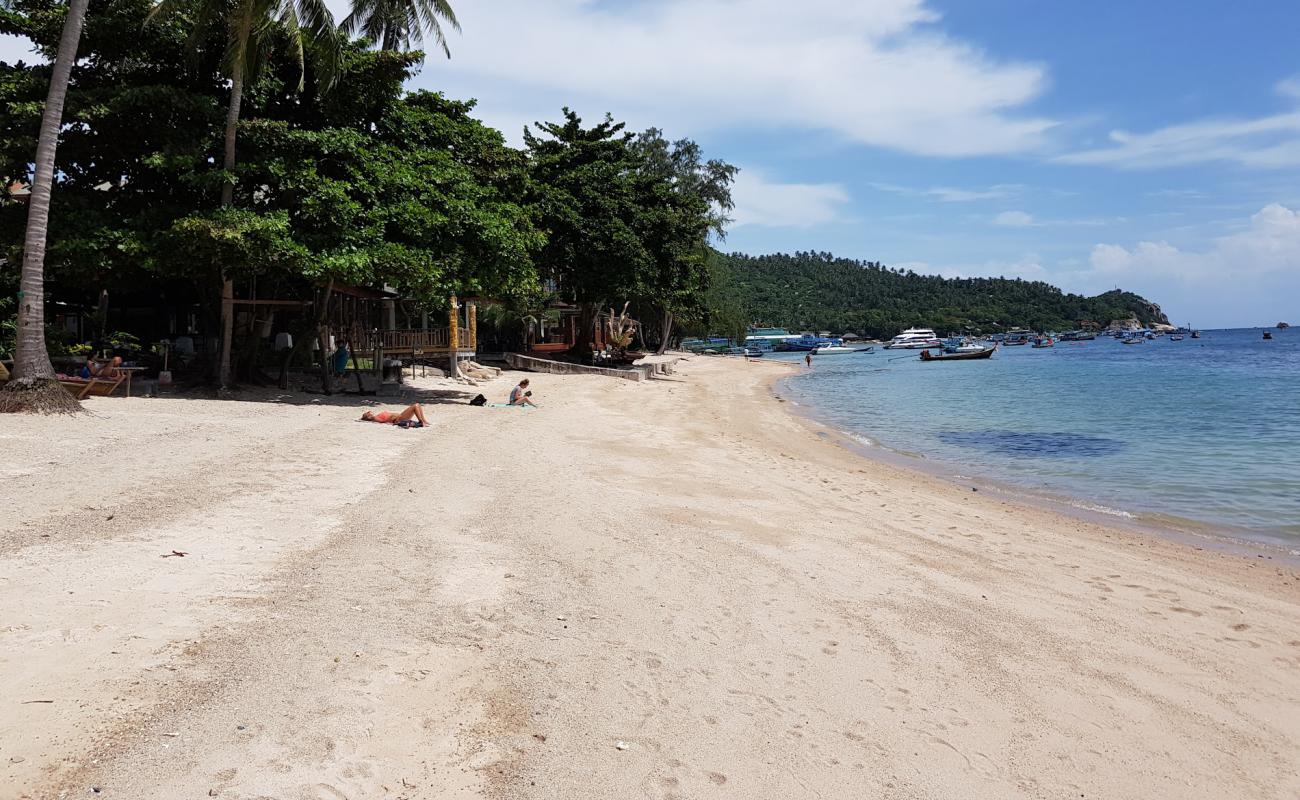 Foto af Mae Haad Beach med lys sand overflade