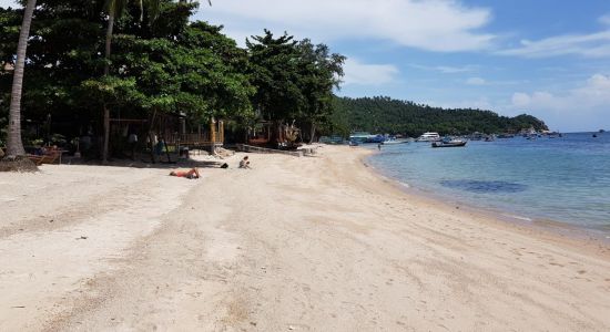 Mae Haad Beach