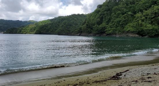 Man O War Bay beach