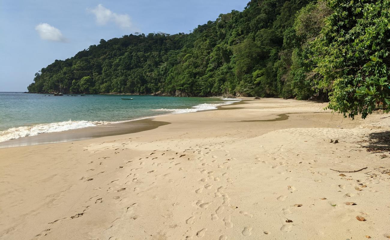 Foto af Pirate's Bay beach med lys fint sand overflade