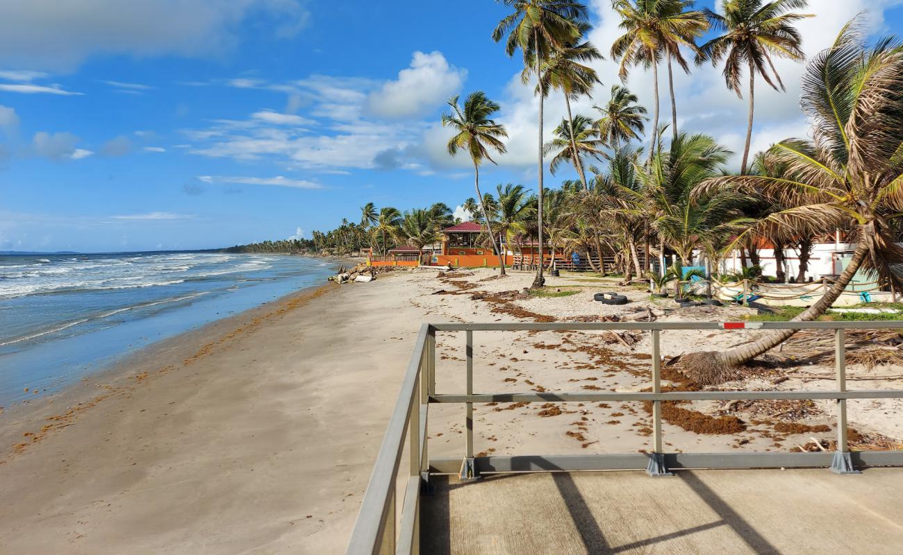 Foto af Manzanilla beach med lys sand overflade