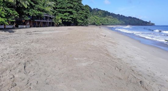 Grand Riviere beach