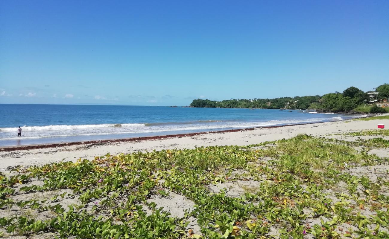 Foto af Toco beach med lys sand overflade