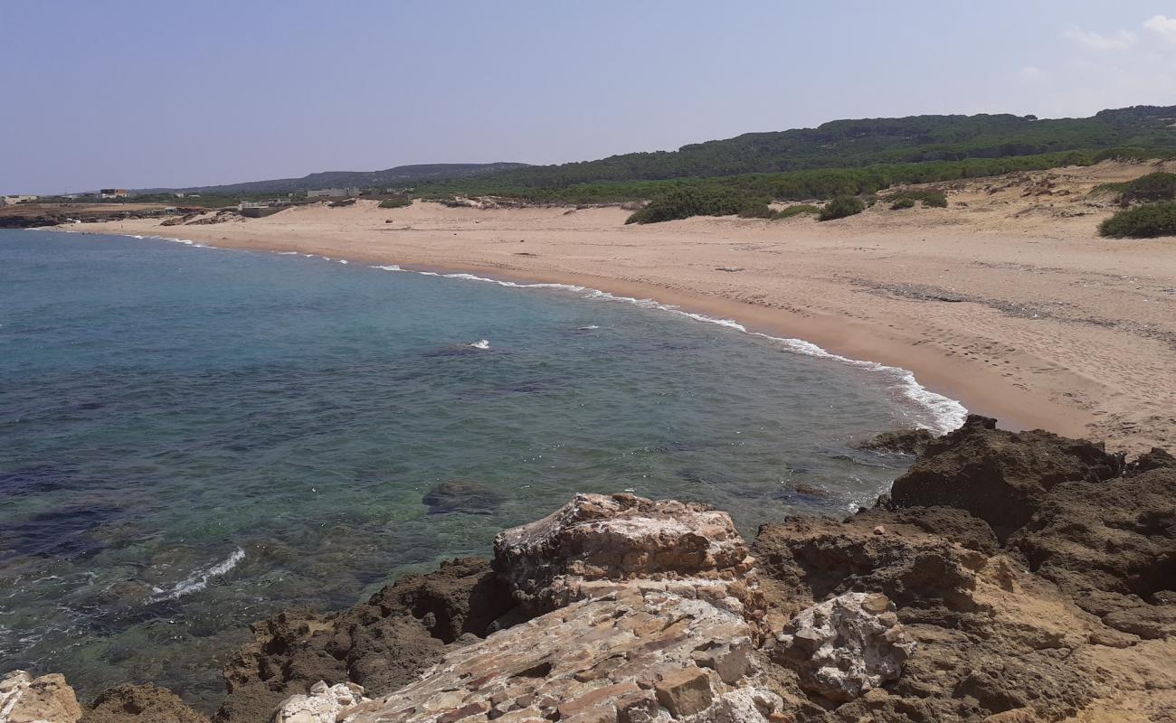 Foto af Plage Sidi Mechreg med brunt sand overflade