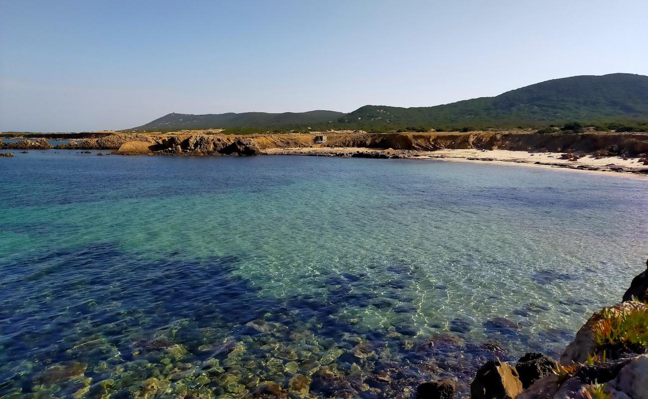 Foto af Plage Sidi el Bechir med lys fint sand overflade