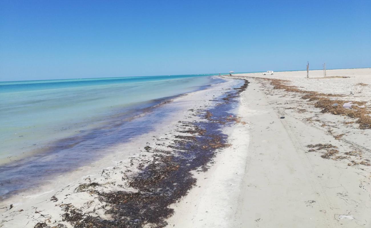 Foto af Zarziskite Sarl II med hvidt sand overflade