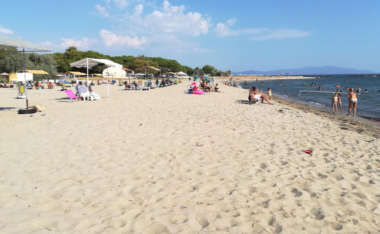 Foto af Professors beach med lys sand overflade