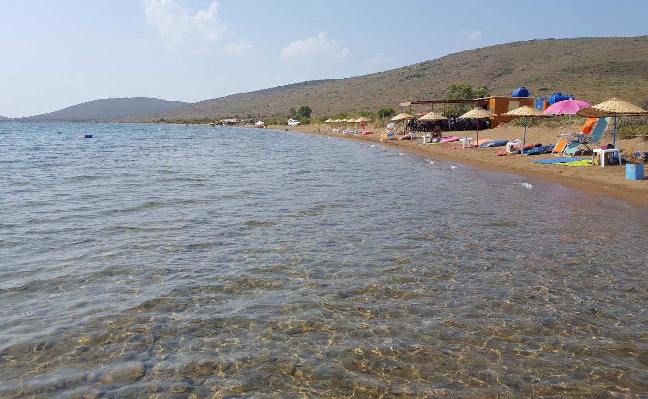 Foto af Alibey beach med sort sand og småsten overflade