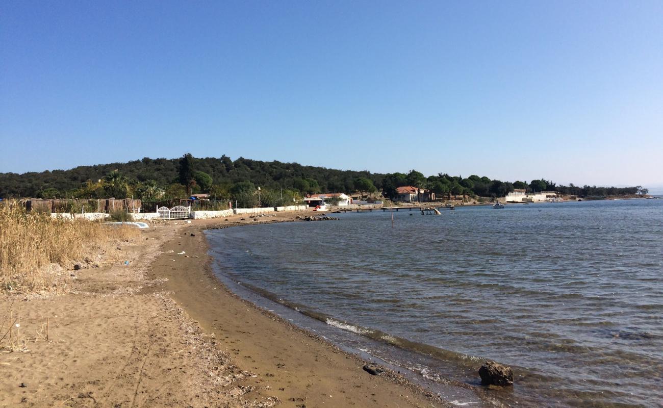 Foto af Igdeli Bay beach med lys sand overflade