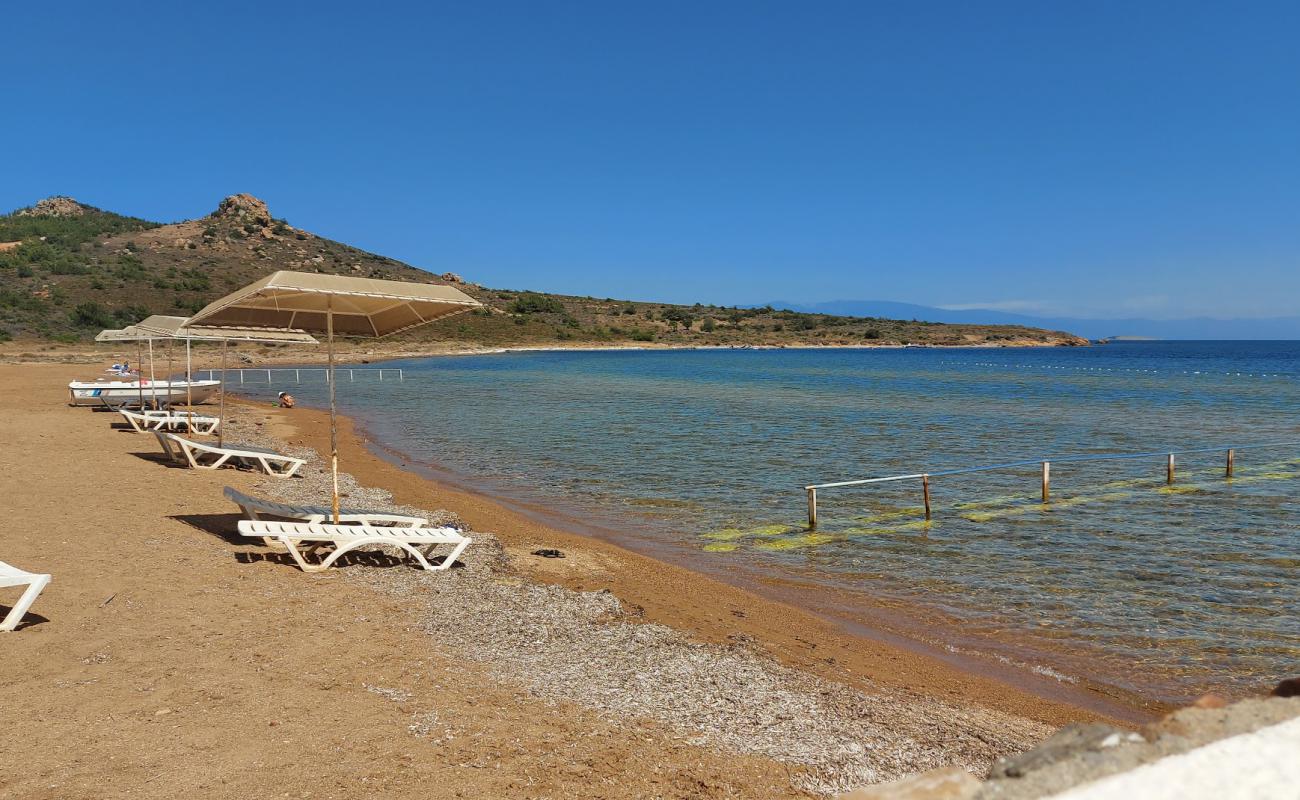 Foto af Cataltepe beach med let sten overflade