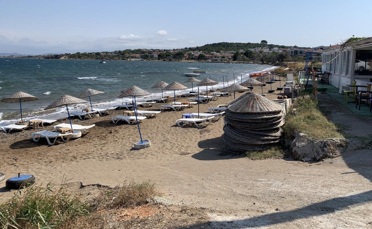 Foto af Ayvalik Igdeli beach med lys sand overflade