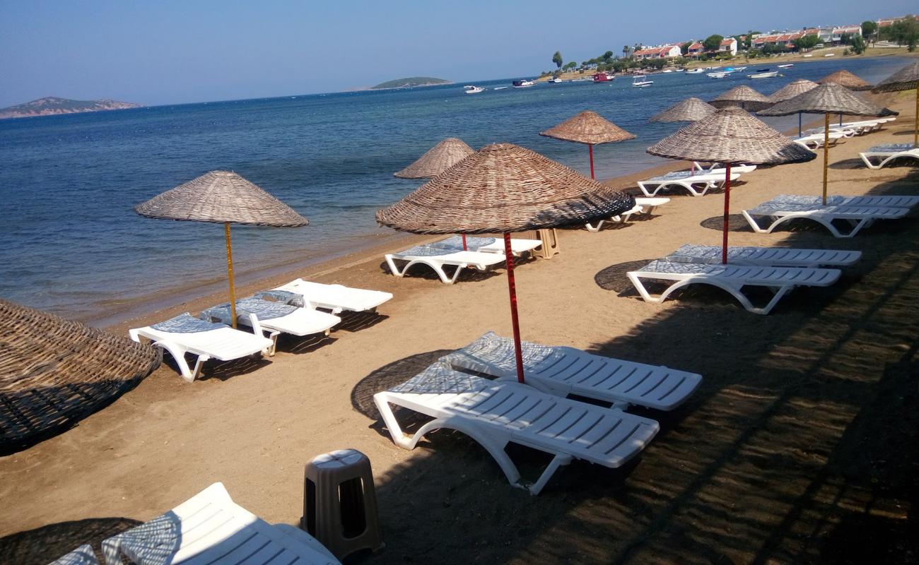 Foto af Ayvalik beach II med lys sand overflade