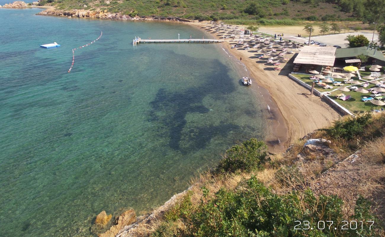 Foto af Tilki Koyu beach med lys sand overflade