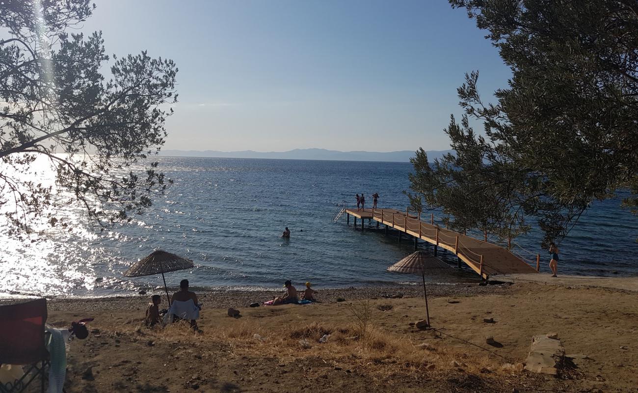 Foto af Zeytinli kamp beach med sort sand og småsten overflade