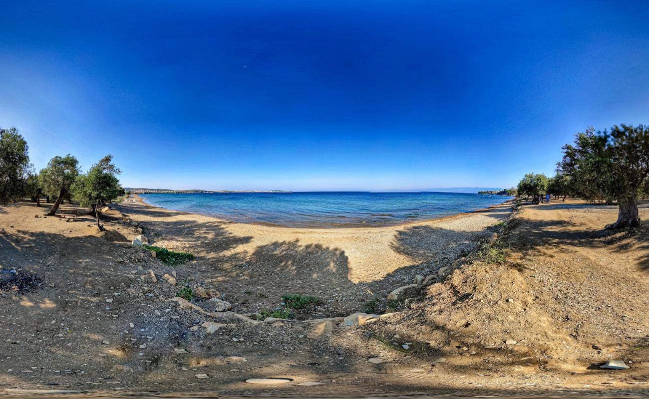 Foto af Altinyol Bay med sort sand og småsten overflade