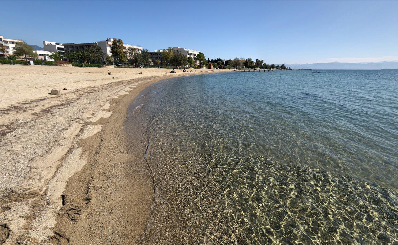 Foto af Palmera beach og bosættelsen