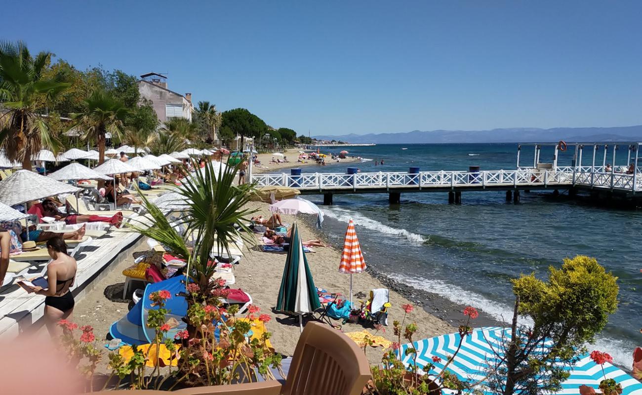 Foto af Manuka beach med let sand og småsten overflade