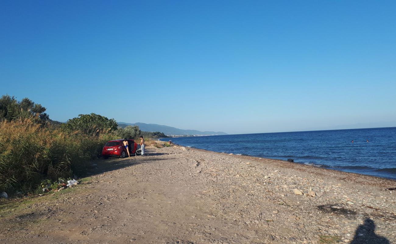 Foto af Assos Free beach med let sten overflade