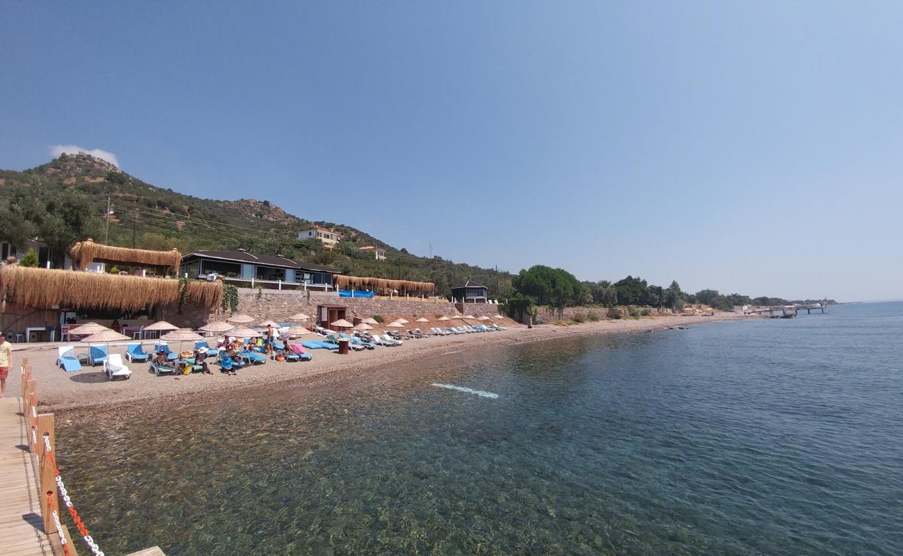 Foto af Kotti beach med let sand og småsten overflade