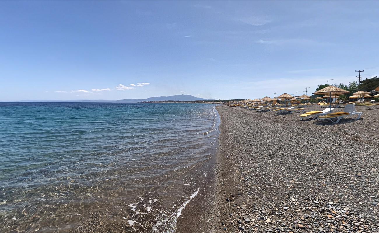 Foto af Galley beach bakket op af klipperne