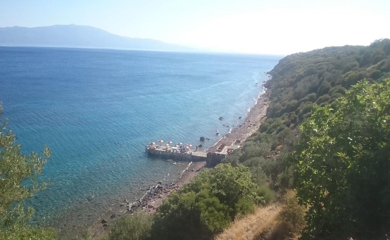 Foto af Sivrice beach med sten overflade