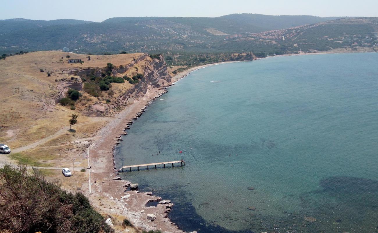 Foto af Apollo beach med let sten overflade