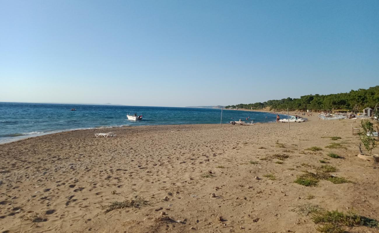 Foto af Camlik Camp beach med lys sand overflade