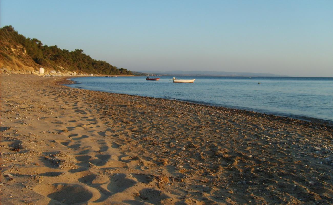 Foto af Ida beach med lys sand overflade