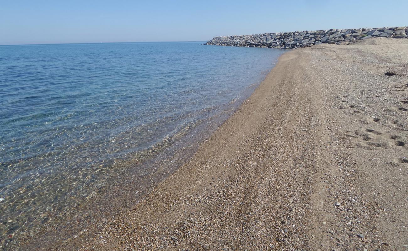 Foto af Dalyan Marina beach med let sand og småsten overflade