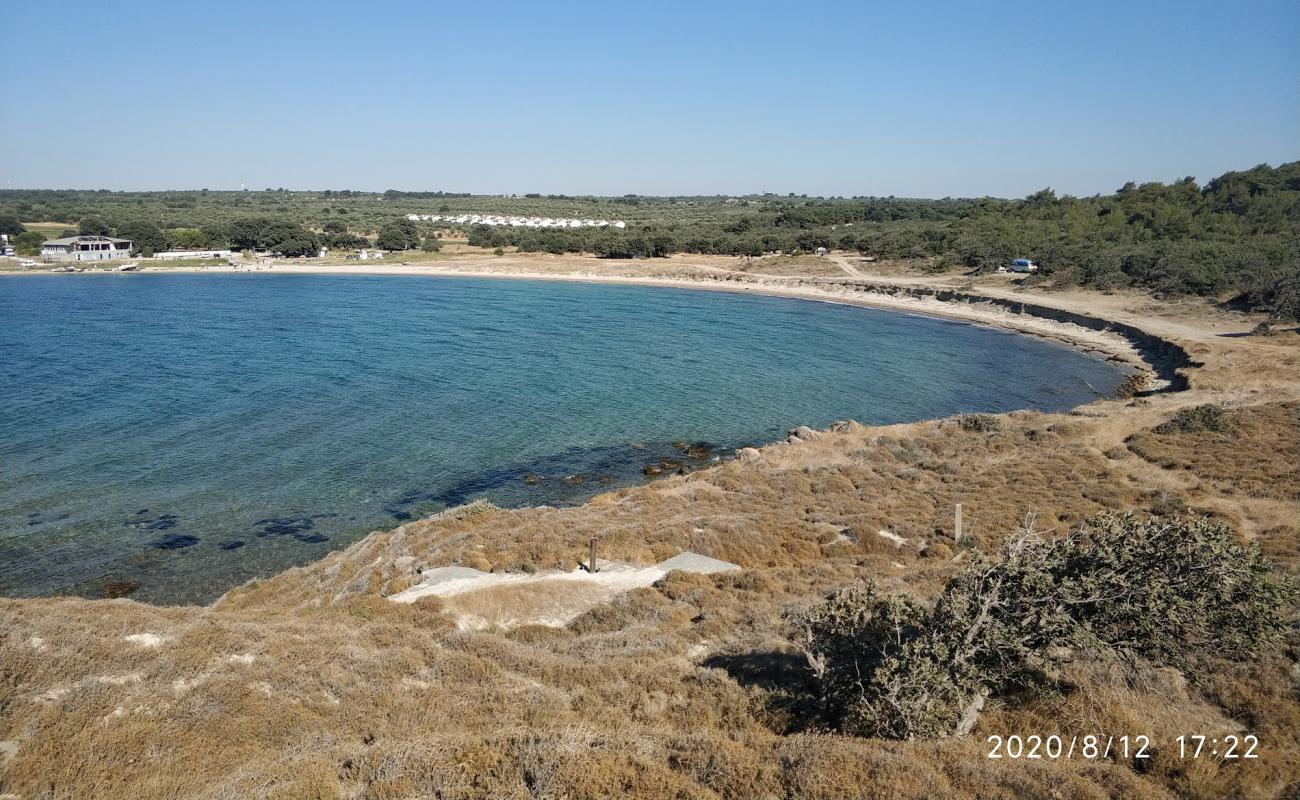 Foto af Eyvah eyvah med lys sand overflade