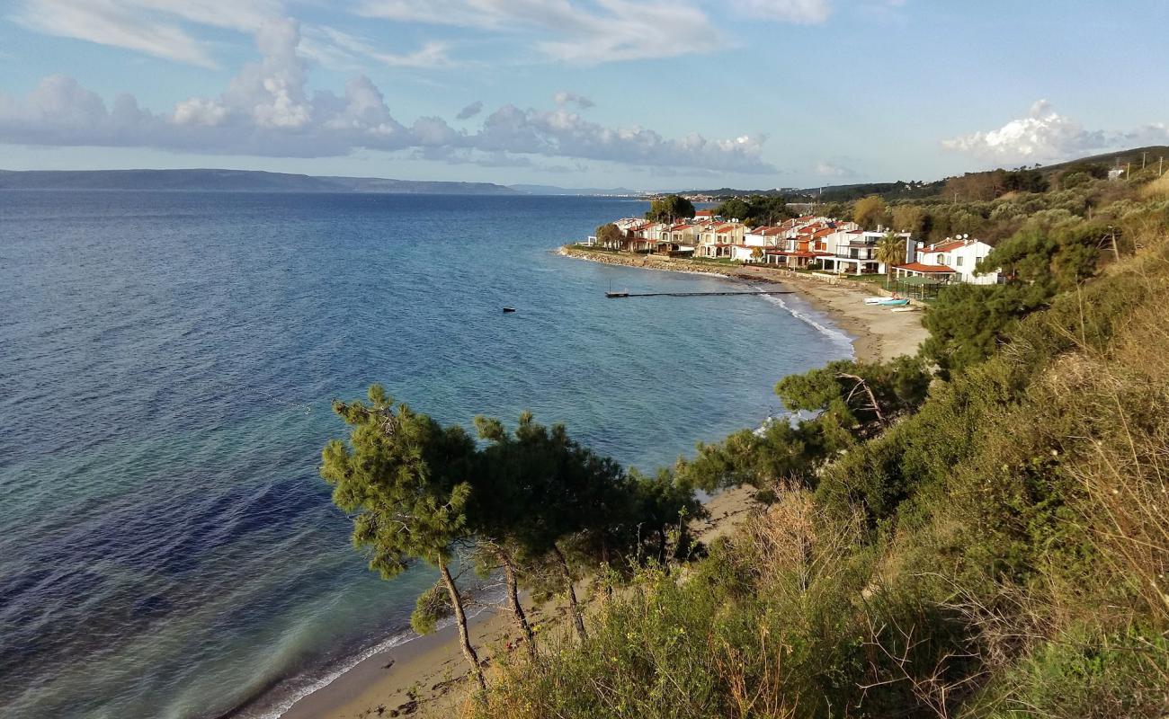 Foto af Landscape beach med lys sand overflade