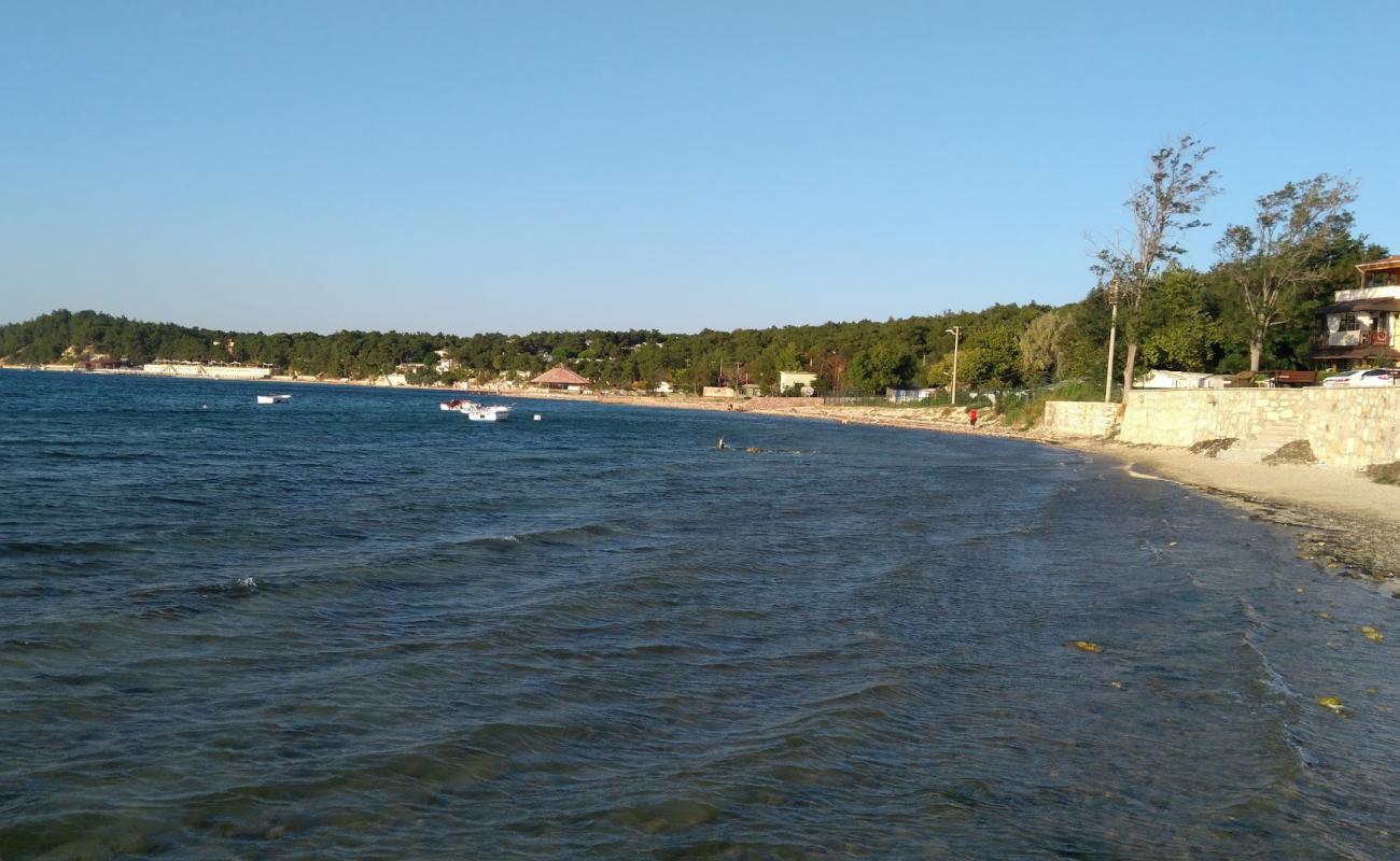 Foto af Pamira park beach med let sand og småsten overflade