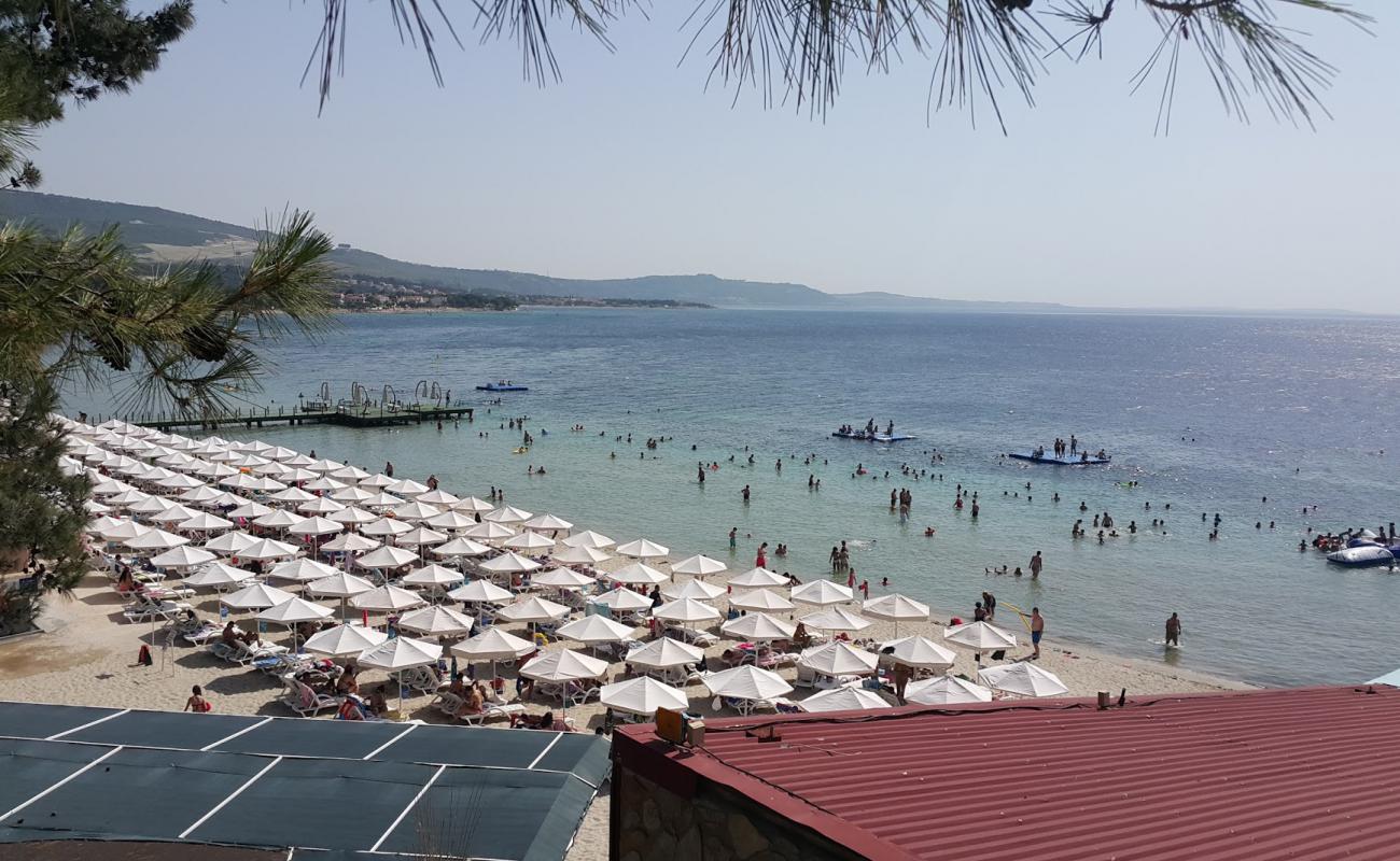 Foto af Garanti Strand med lys fint sand overflade