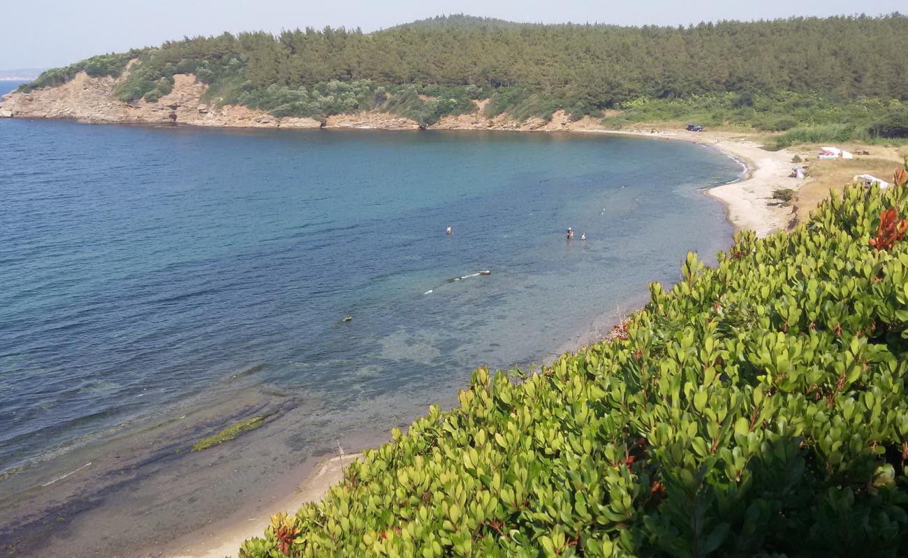 Foto af Tripce beach med let sand og småsten overflade