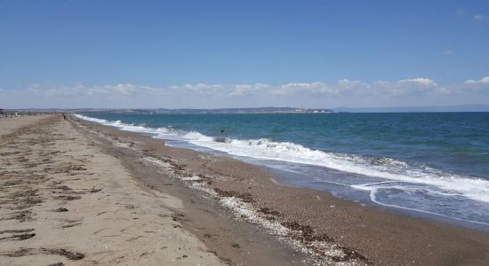 Vast City beach