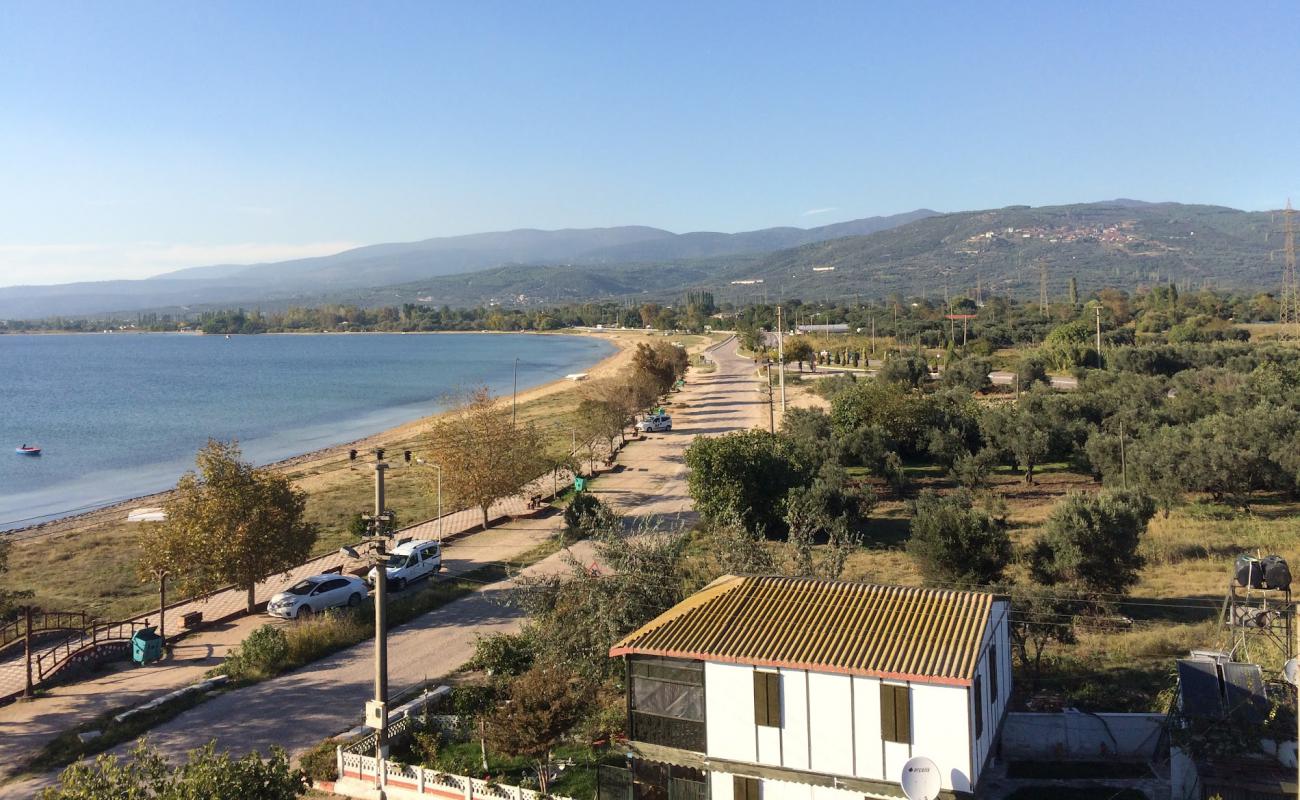 Foto af Duzler beach med lys sand overflade