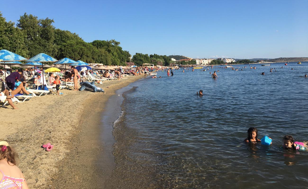 Foto af Erdek Plaji med lys sand overflade