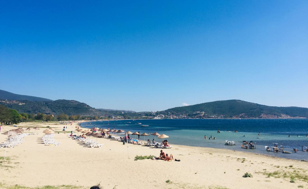 Foto af Ocaklar beach med lys sand overflade