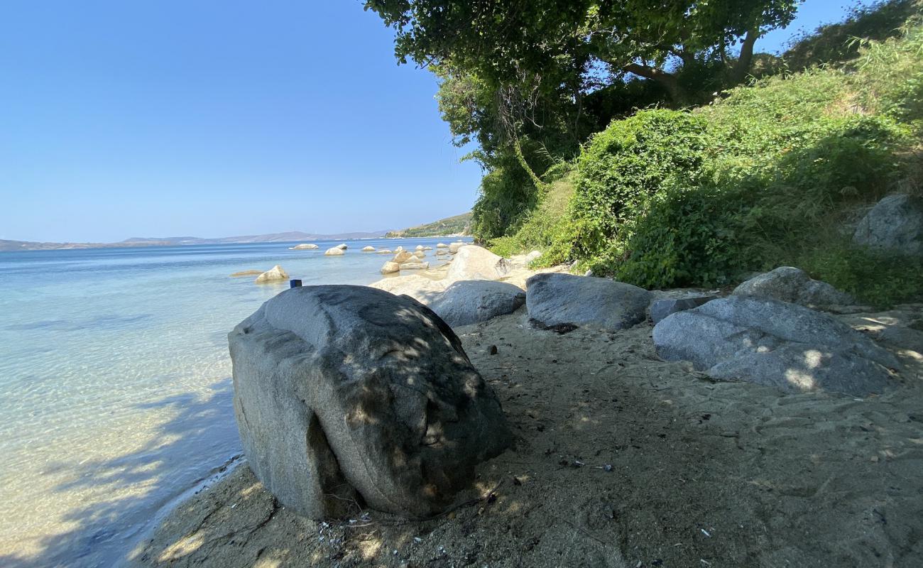 Foto af Faruk's Dark beach med lys sand overflade