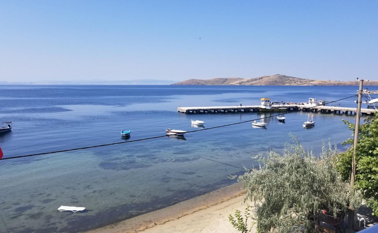 Foto af Narli beach med lys sand overflade