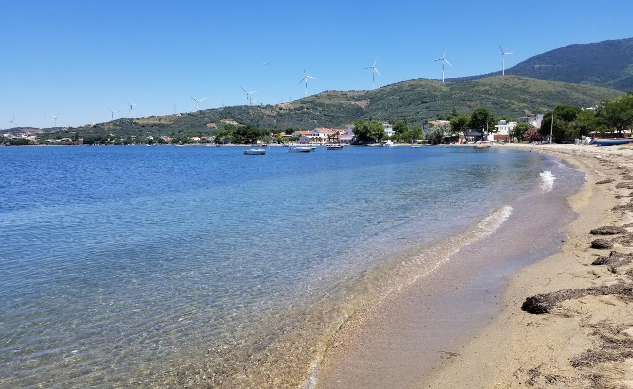 Foto af Narli beach II med lys sand overflade