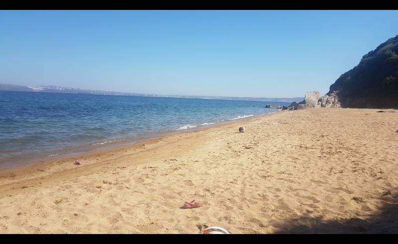 Foto af Tanasa Sahil beach med brunt sand overflade