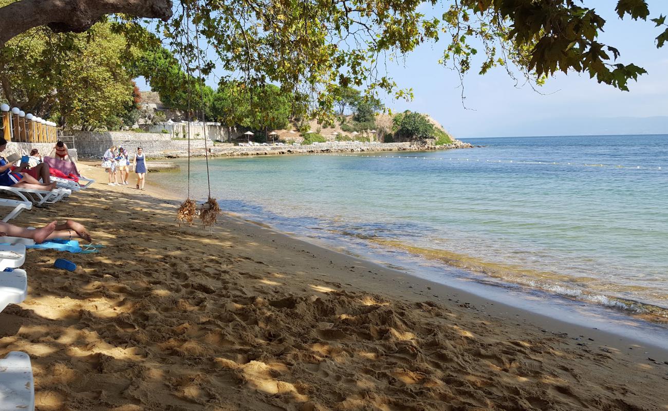 Foto af Tatlisu beach med brunt sand overflade