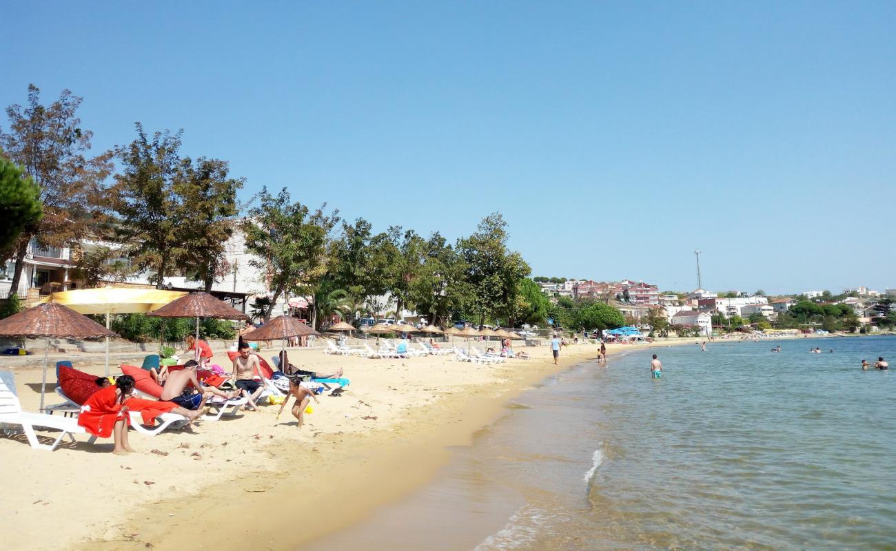 Foto af Tatlisu beach II med brunt sand overflade