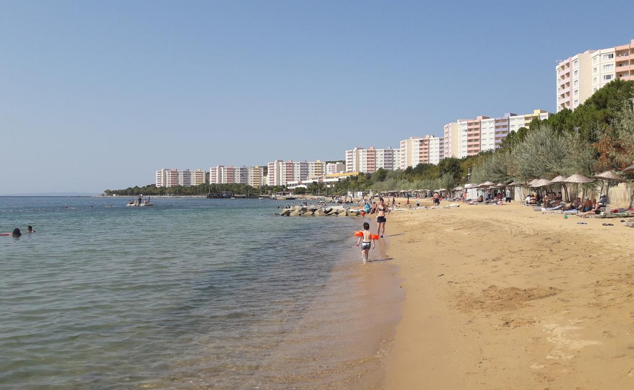 Foto af Ihlas Armutlu Tatil Koyu beach med lys sand overflade