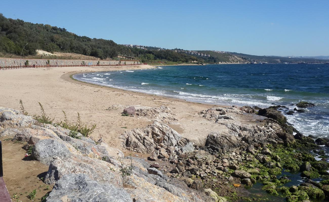 Foto af Darica beach med brunt sand overflade