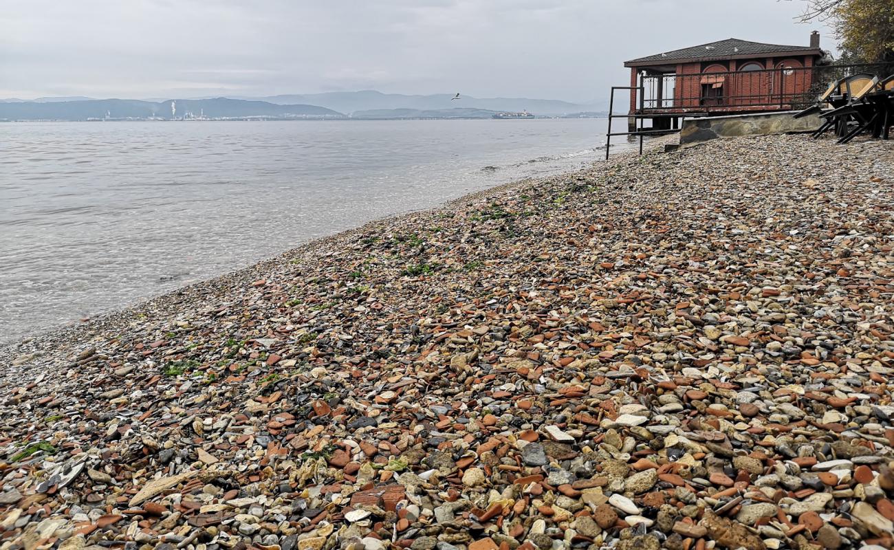 Foto af Darica beach II med brun sten overflade