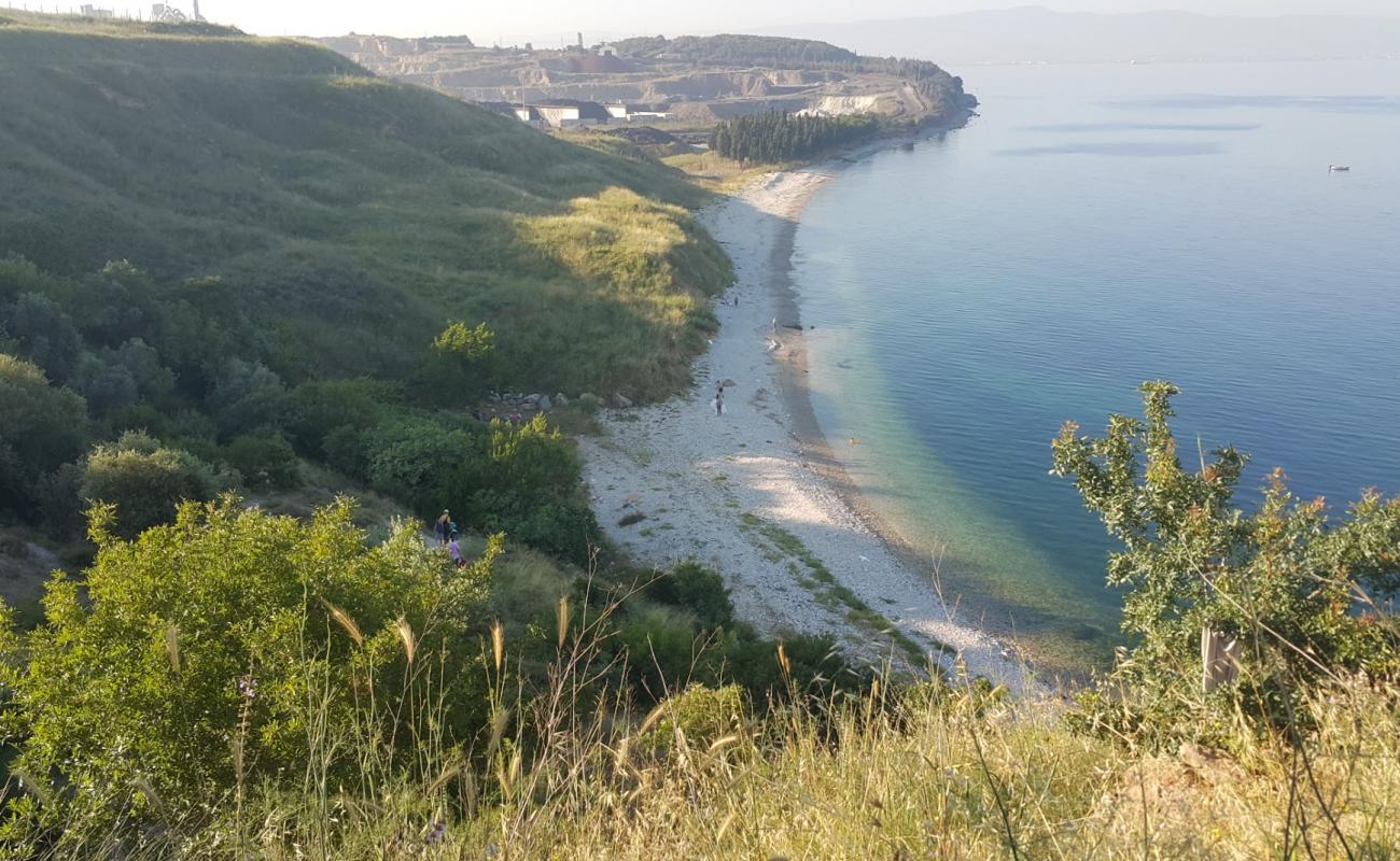 Foto af Darica beach III med let sten overflade